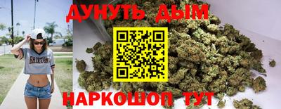 скорость Новодвинск